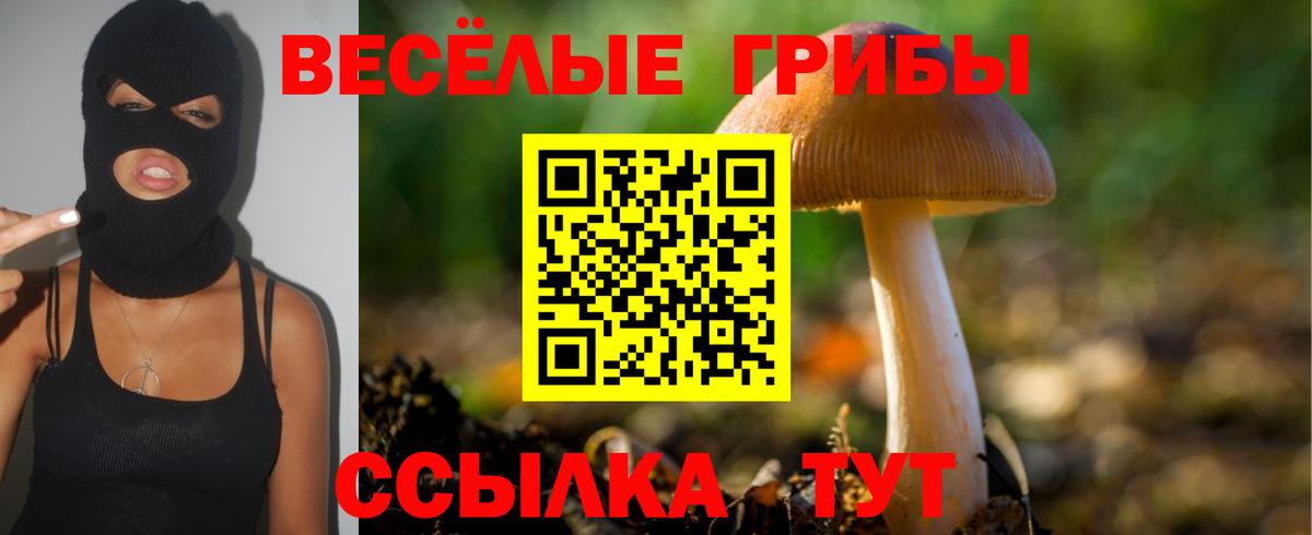 Псилоцибиновые грибы прущие грибы Нижневартовск